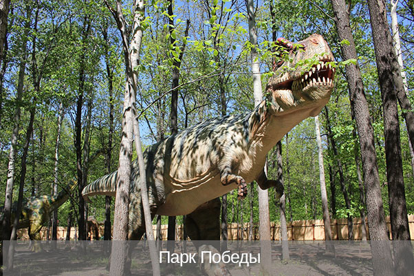 Ставропольский парк Победы (фото)